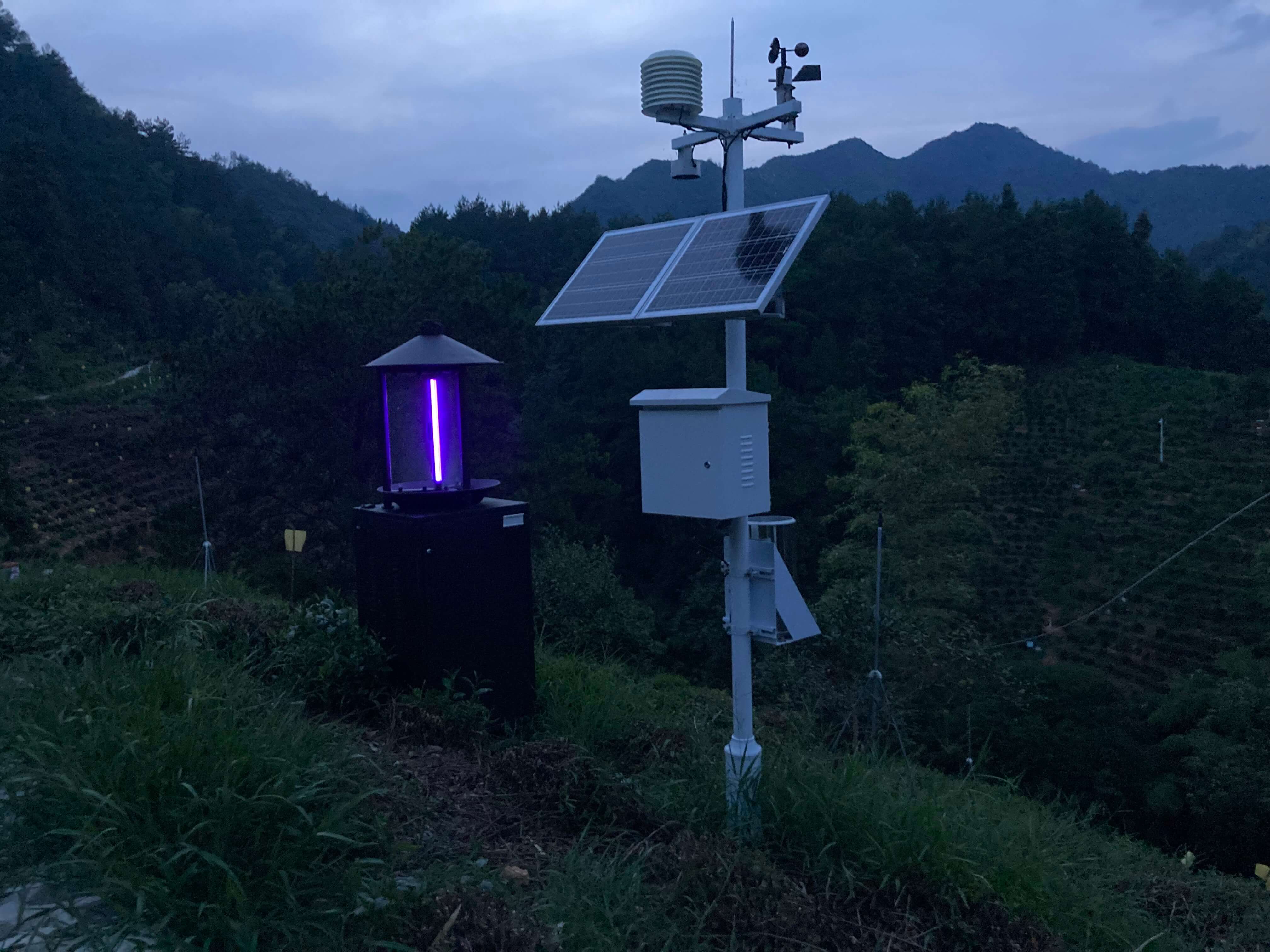 都成產(chǎn)品助力安徽黃山數(shù)字茶園建設