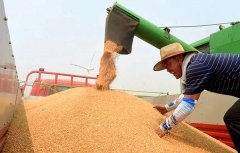 關(guān)系14億人的飯碗，定了這些大事！