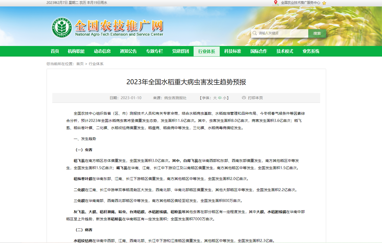 2023年全國水稻重大病蟲害發(fā)生趨勢預(yù)報