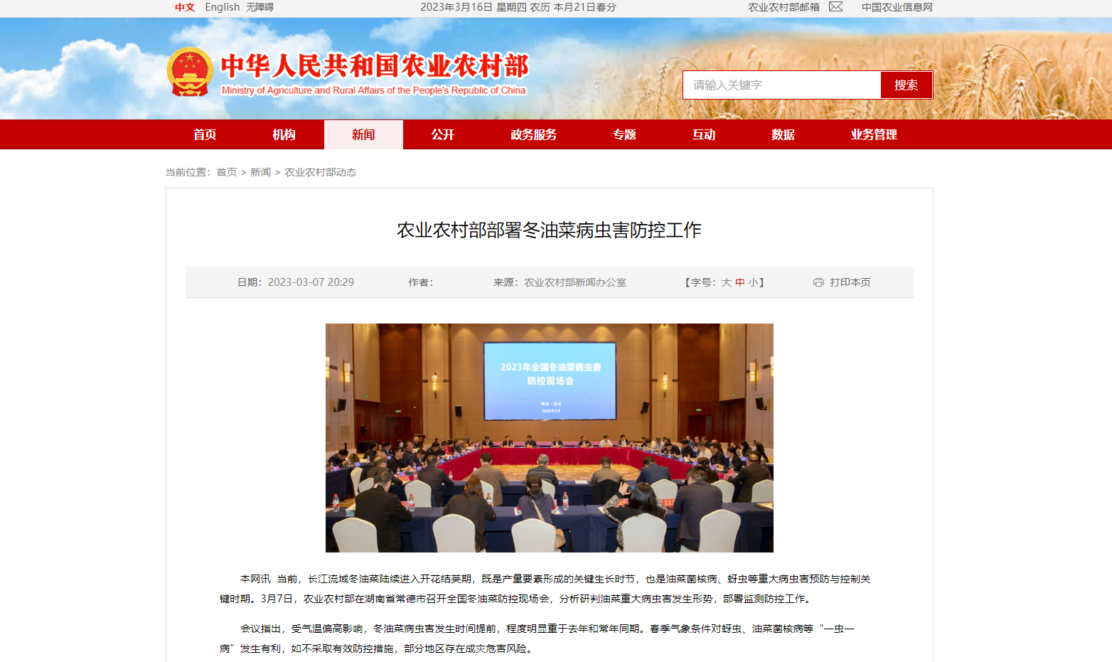 農(nóng)業(yè)農(nóng)村部部署冬油菜病蟲(chóng)害防控工作