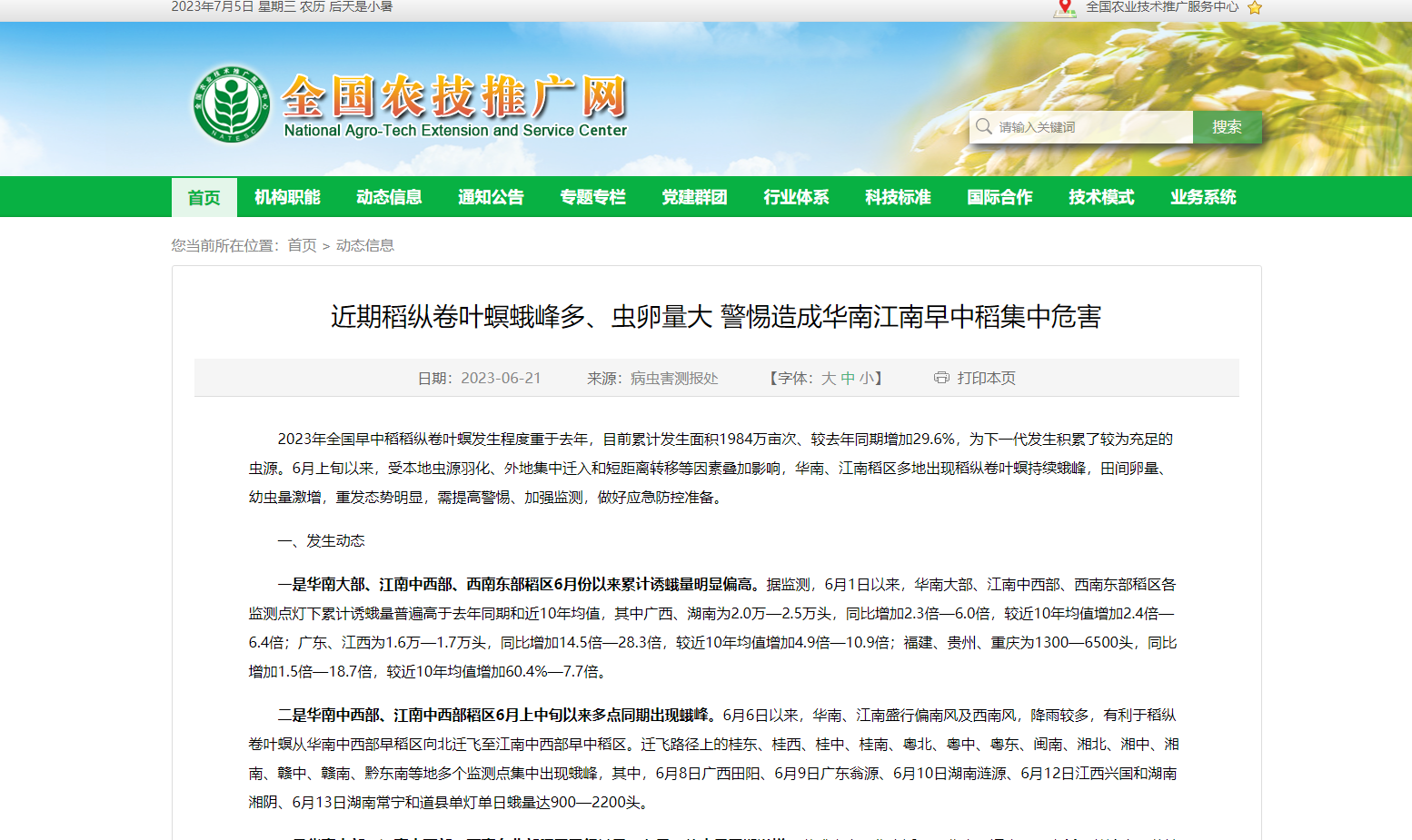 近期稻縱卷葉螟蛾峰多、蟲卵量大 警惕造成華南江南早中稻集中危害